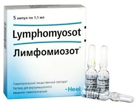 Лимфомиозот, раствор для внутримышечного введения гомеопатический 1,1мл, 5шт