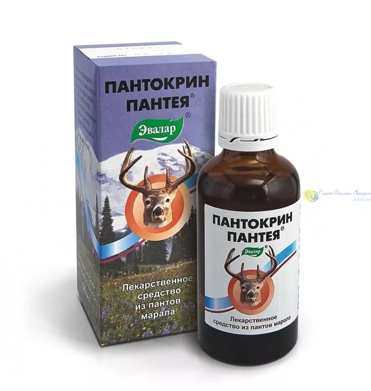 Пантокрин Пантея, экстракт жидкий, флакон 50мл