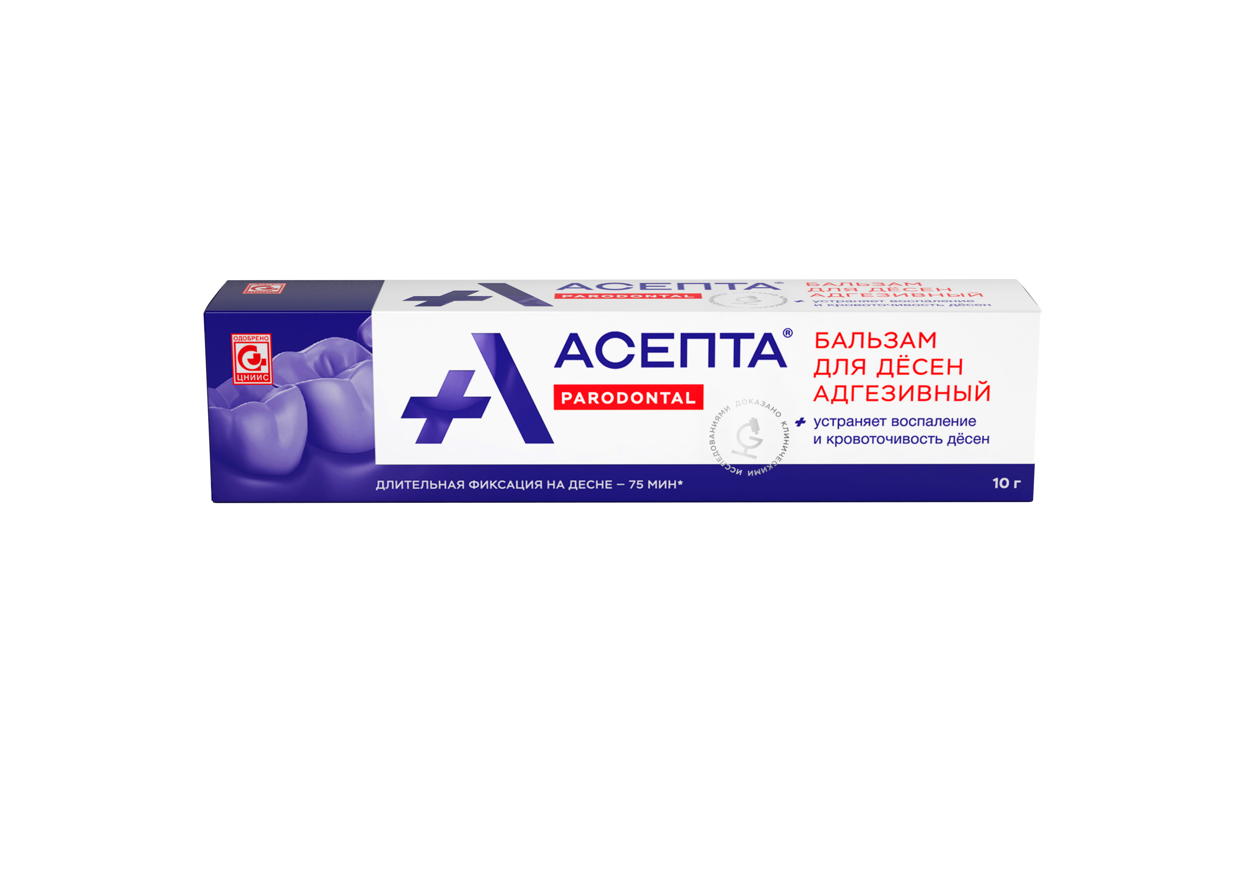 Асепта, бальзам для десен адгезивный, 10г