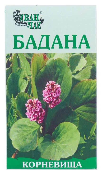 Бадана корневища, пачка 50г
