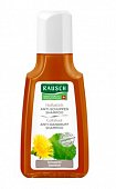 Rausch (Рауш) шампунь от перхоти с экстрактом Мать-и-мачехи, 40мл, Рауш АГ Креузлинген
