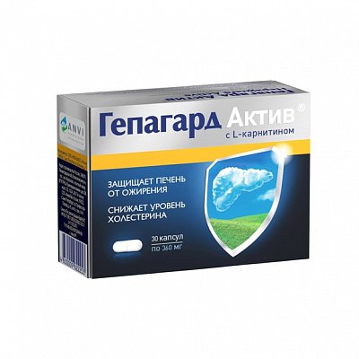 Гепагард Актив с L-карнитином, капсулы 360мг, 30 шт БАД